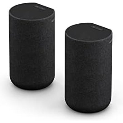 SONY SA-RS5 negro altavoces traseros inalámbricos adicionales batería incorporada 180W